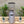 Load image into Gallery viewer, Fiorenzato F5 Coffee Grinder