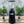 Load image into Gallery viewer, Fiorenzato F6 Automatic Coffee Grinder