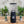 Load image into Gallery viewer, Mazzer Super Jolly Automatic Coffee Grinder - Black