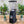 Load image into Gallery viewer, Mazzer Super Jolly Automatic Coffee Grinder - Black