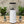Load image into Gallery viewer, Eureka Olympus 75E Coffee Grinder - White
