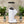 Load image into Gallery viewer, Eureka Olympus 75E Coffee Grinder - White