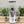Load image into Gallery viewer, Mazzer Kony Electronic Coffee Grinder - Gloss White