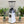Load image into Gallery viewer, Mazzer Kony Electronic Coffee Grinder - Gloss White