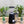 Load image into Gallery viewer, Brand New Mazzer Mini Manual Coffee Grinder