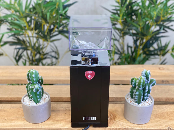 Brand New Eureka Mignon Specialita 55E Coffee Grinder