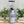Load image into Gallery viewer, Brand New Mazzer Robur S Electronic Coffee Grinder - Silver