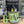 Load image into Gallery viewer, Brand New Sanremo Cube 1 Group Coffee Machine & AllGround Grinder Package - Matcha Green